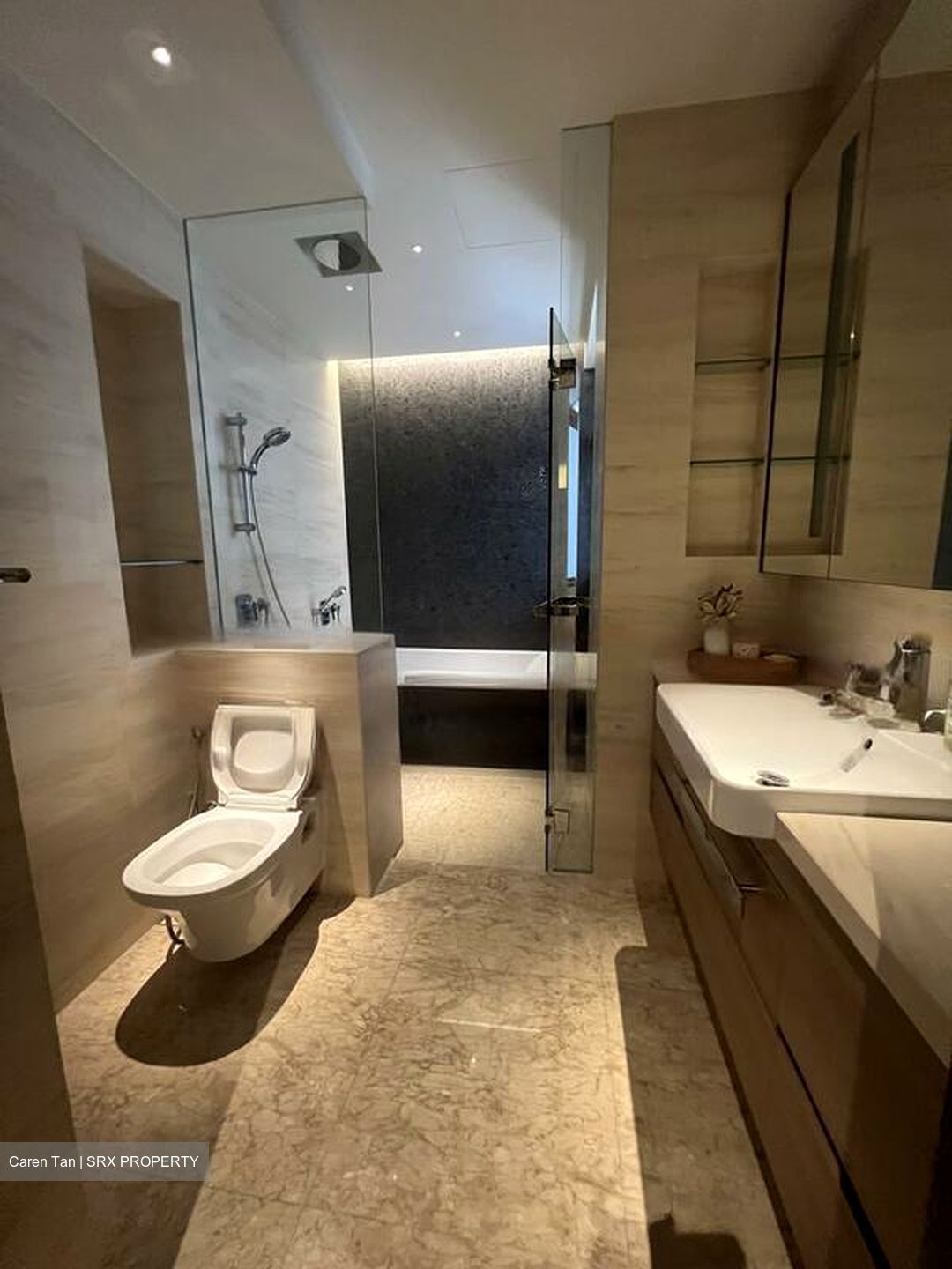 The Whitley Residences (D11), Semi-Detached #488344941